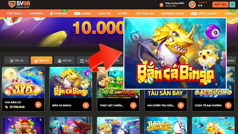 Bắn cá Bingo – Thiên đường săn cá rước xu nhận thưởng